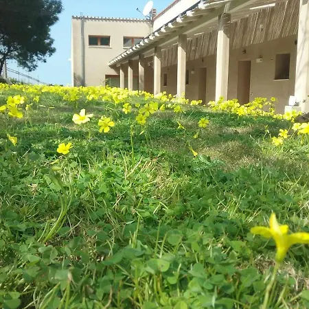Alelca Domo-3